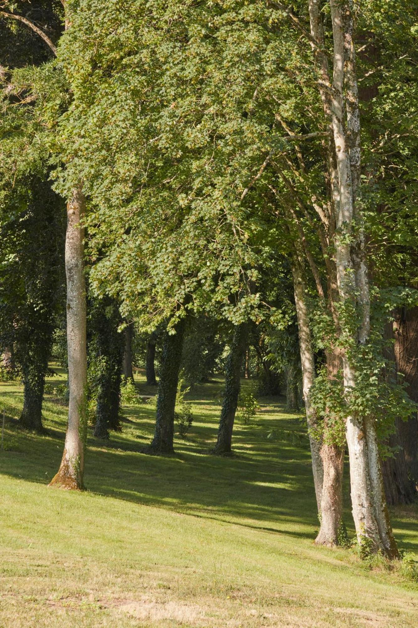 Отель Domaine Le Mezo Ploeren Экстерьер фото